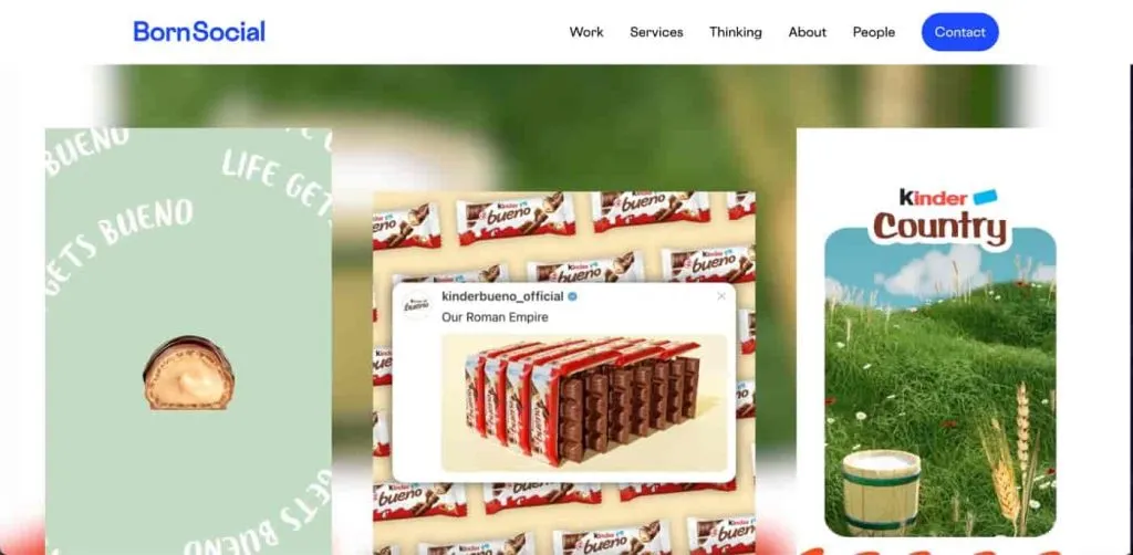 Top CPG Social Media Agencies - BornSocial screenshot